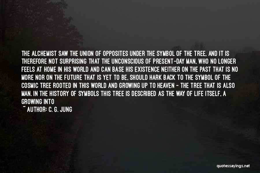 Back To The Future Life Quotes By C. G. Jung