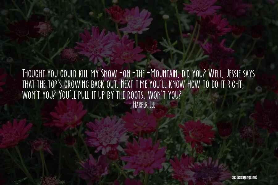 Back To The Roots Quotes By Harper Lee Back To The Roots Quotes By Harper Lee