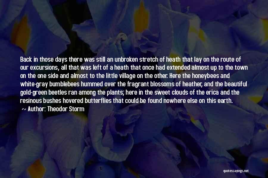 Back To Those Days Quotes By Theodor Storm