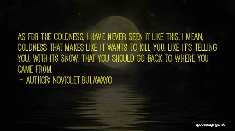 Back To Where You Came From Quotes By NoViolet Bulawayo