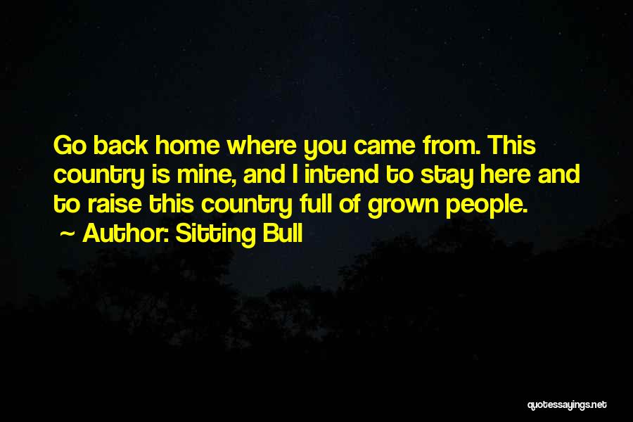 Back To Where You Came From Quotes By Sitting Bull