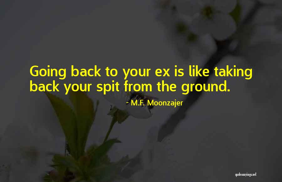 Back To Your Ex Quotes By M.F. Moonzajer Back To Your Ex Quotes By M.F. Moonzajer