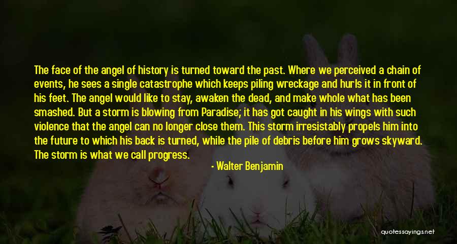 Back Turned Quotes By Walter Benjamin