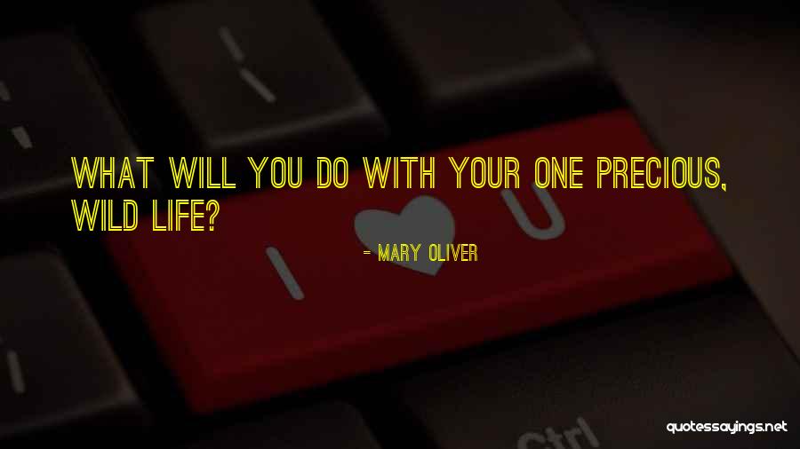 Backenstoes Quotes By Mary Oliver Backenstoes Quotes By Mary Oliver
