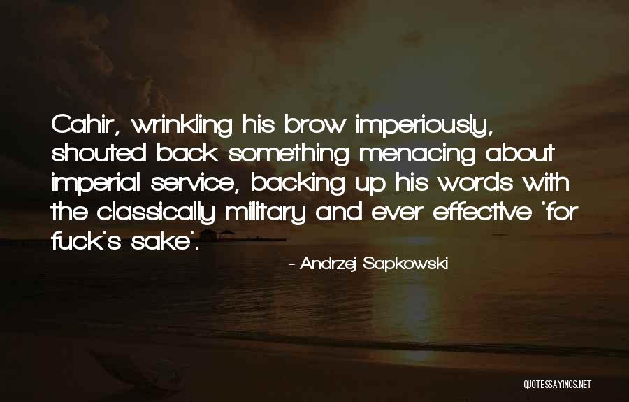 Backing Quotes By Andrzej Sapkowski