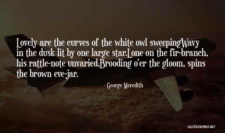 Backlinie Bail Quotes By George Meredith Backlinie Bail Quotes By George Meredith