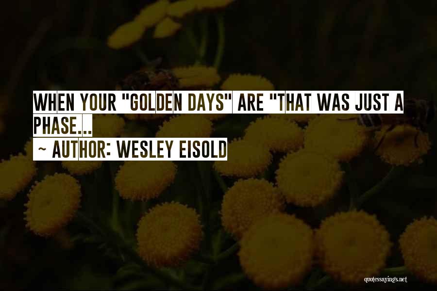 Backmasking Quotes By Wesley Eisold