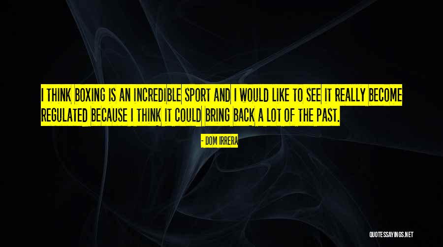 Backsight Surveying Quotes By Dom Irrera