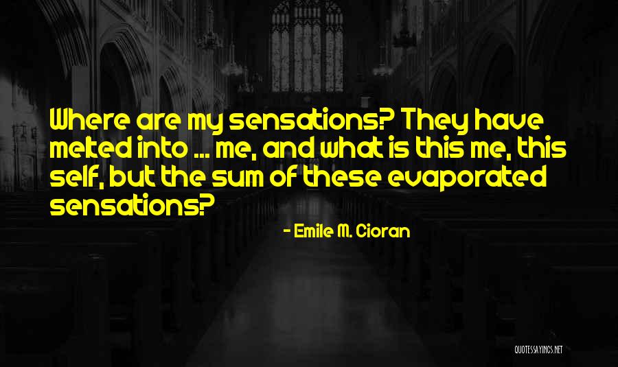 Backsight Surveying Quotes By Emile M. Cioran