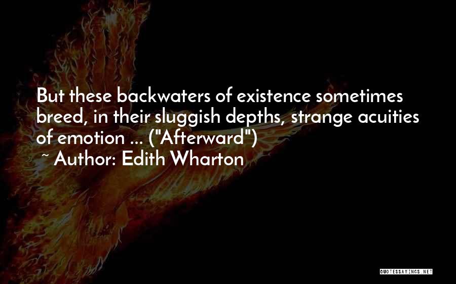 Backwaters Quotes By Edith Wharton