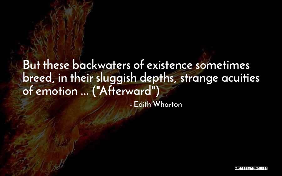 Backwaters Quotes By Edith Wharton