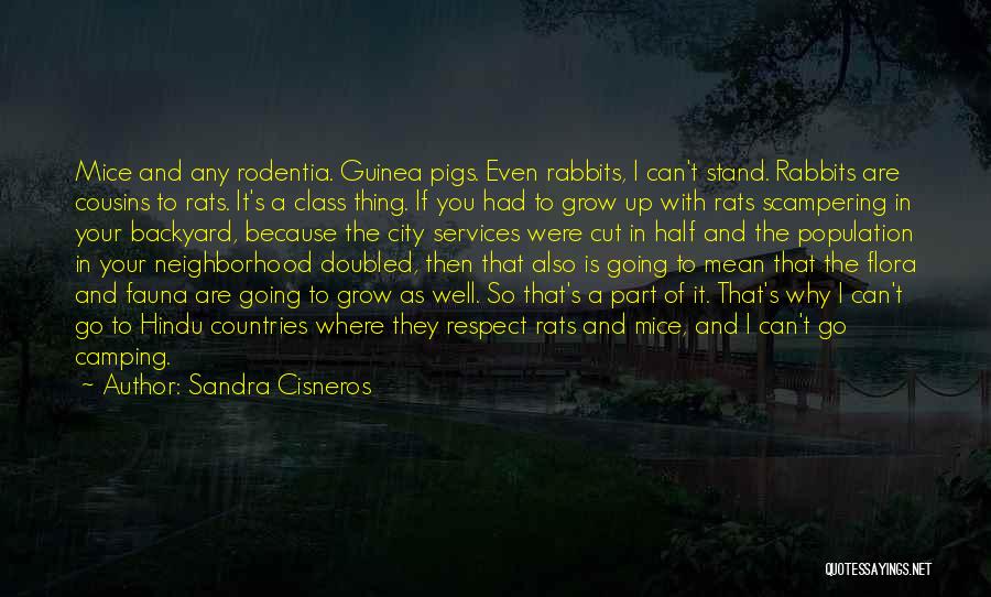 Backyard Camping Quotes By Sandra Cisneros