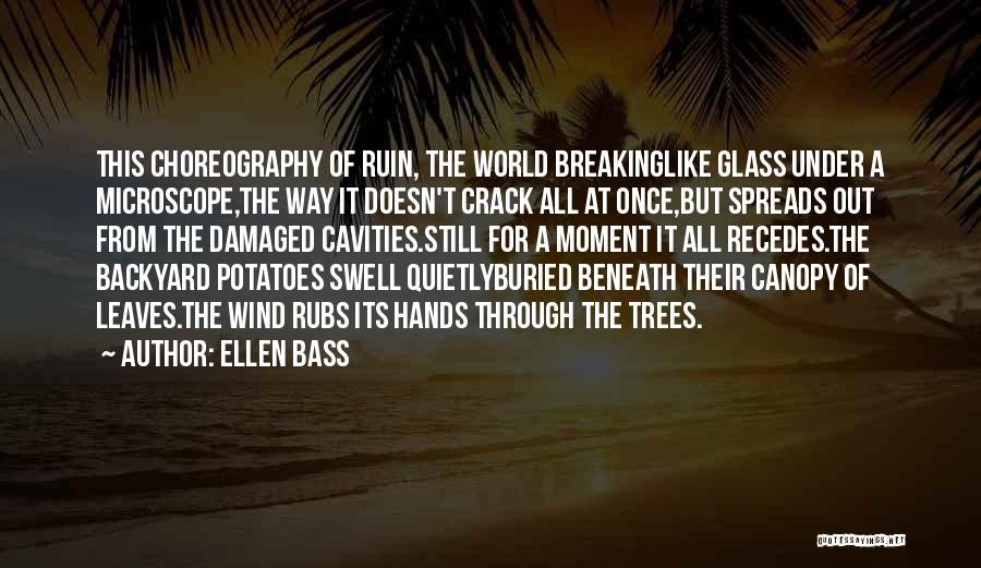 Backyard Nature Quotes By Ellen Bass