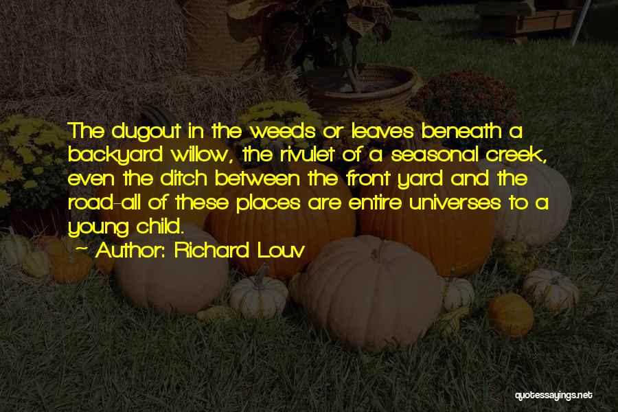 Backyard Nature Quotes By Richard Louv