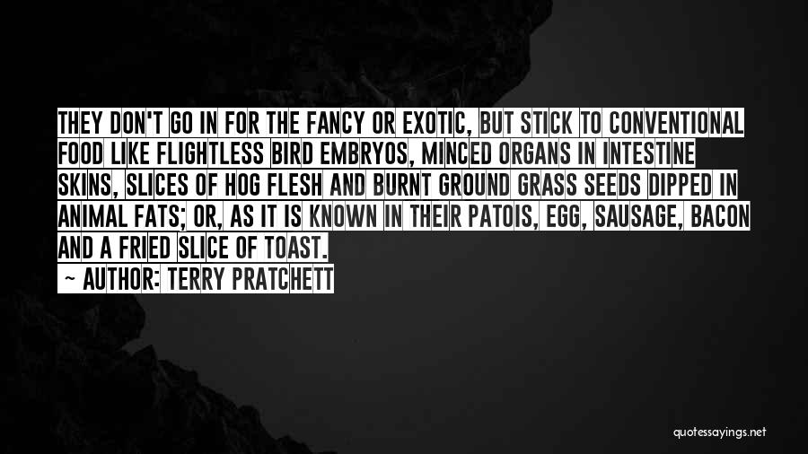 Bacon And Egg Quotes By Terry Pratchett