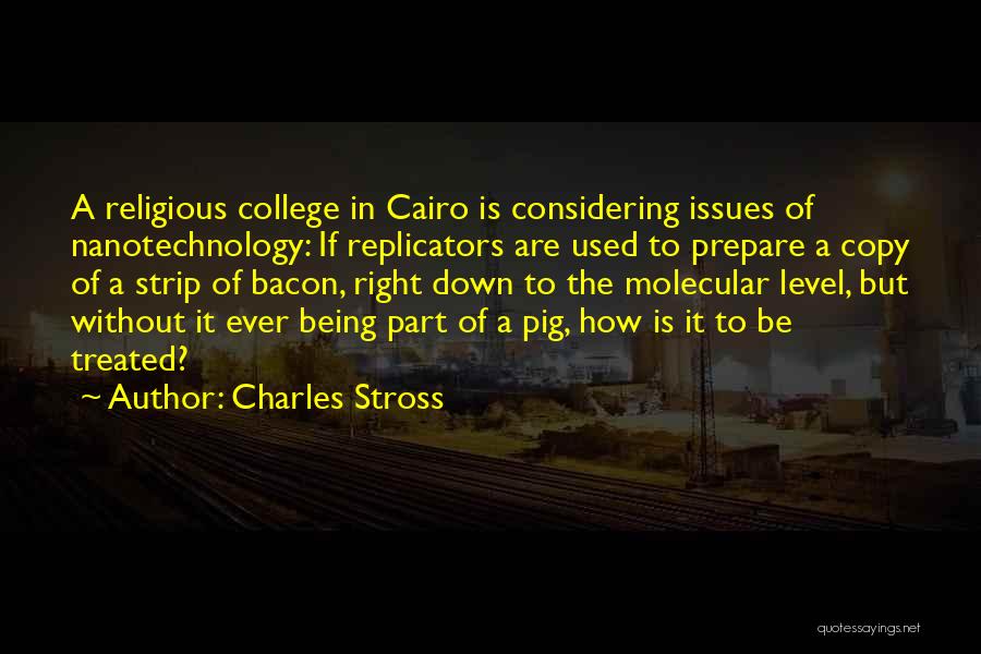 Bacon Quotes By Charles Stross