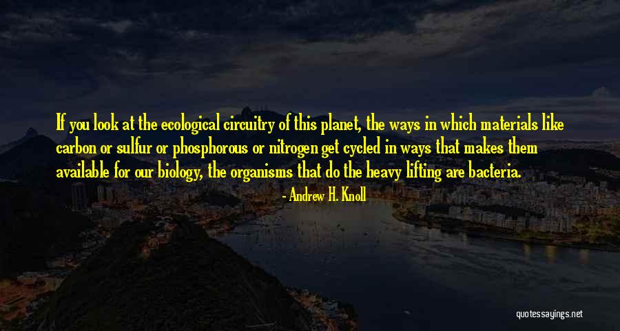 Bacteria Quotes By Andrew H. Knoll Bacteria Quotes By Andrew H. Knoll