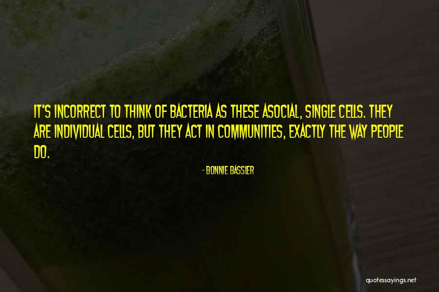 Bacteria Quotes By Bonnie Bassler Bacteria Quotes By Bonnie Bassler