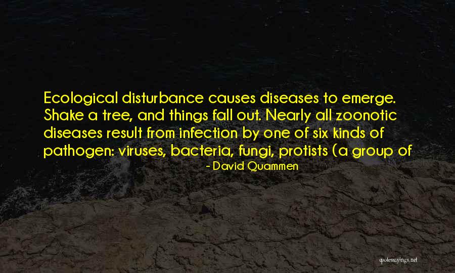 Bacteria Quotes By David Quammen Bacteria Quotes By David Quammen