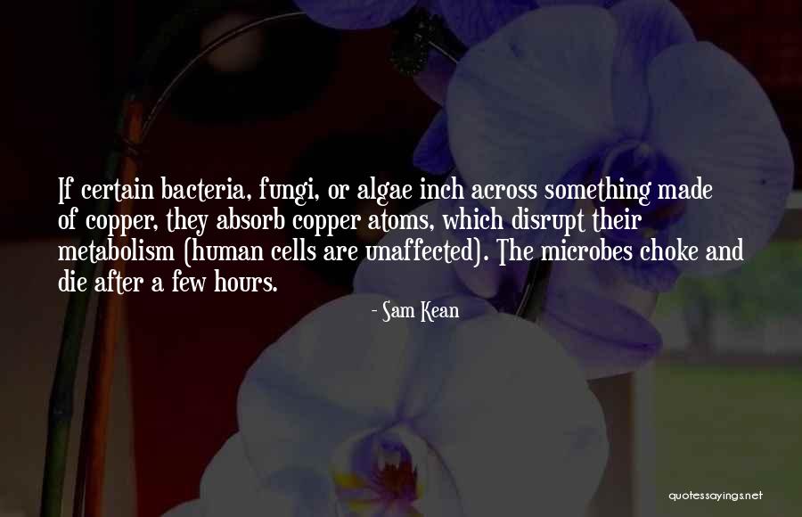 Bacteria Quotes By Sam Kean Bacteria Quotes By Sam Kean
