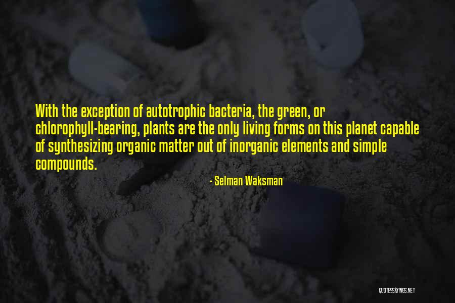 Bacteria Quotes By Selman Waksman Bacteria Quotes By Selman Waksman