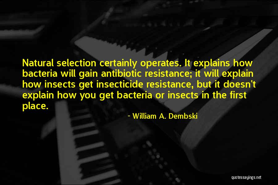 Bacteria Quotes By William A. Dembski Bacteria Quotes By William A. Dembski