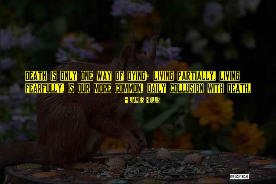 Bacteriologists Quotes By James Hollis Bacteriologists Quotes By James Hollis