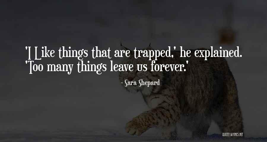 Bactine For Piercings Quotes By Sara Shepard Bactine For Piercings Quotes By Sara Shepard
