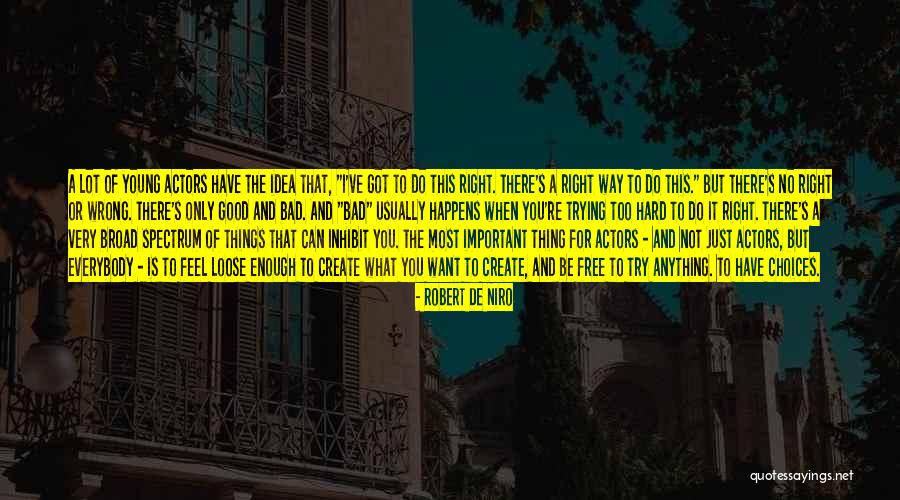 Bad And Good Choices Quotes By Robert De Niro