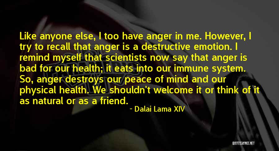 Bad Attitude Quotes By Dalai Lama XIV