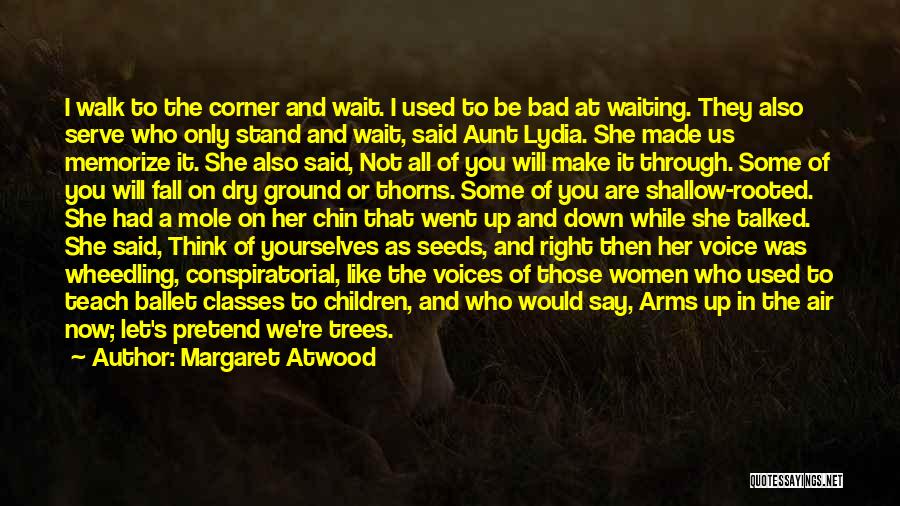 Bad Aunt Quotes By Margaret Atwood