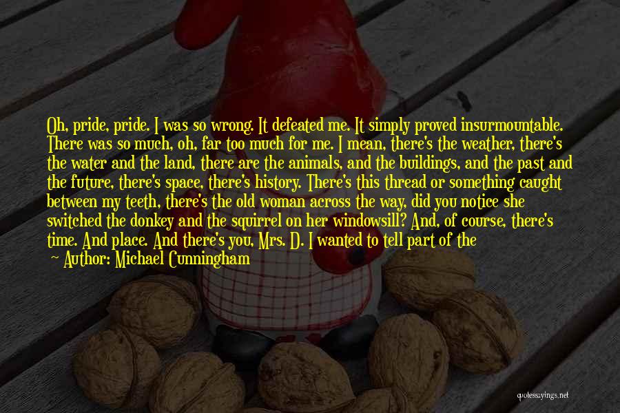 Bad Babysitter Quotes By Michael Cunningham