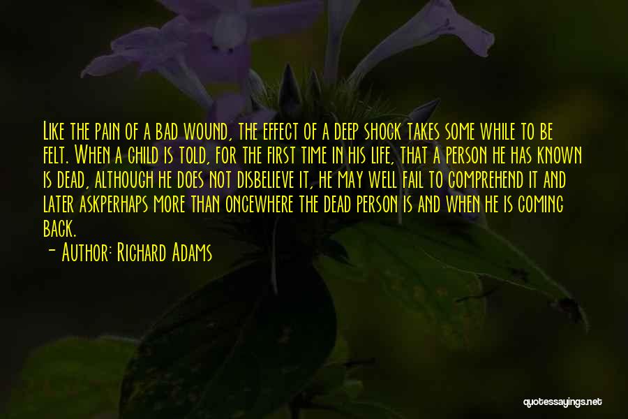 Bad Back Pain Quotes By Richard Adams