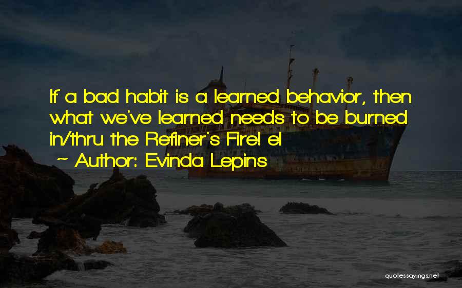 Bad Behaviour Quotes By Evinda Lepins