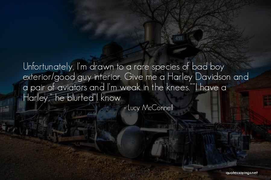 Bad Boy Love Quotes By Lucy McConnell