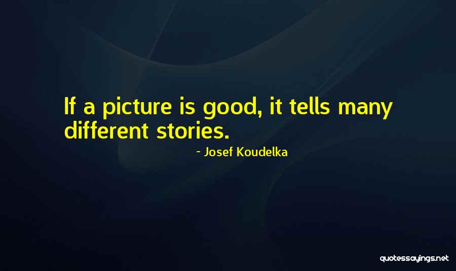 Bad Boys 2 Reggie Quotes By Josef Koudelka Bad Boys 2 Reggie Quotes By Josef Koudelka
