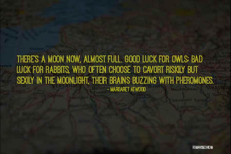 Bad Brains Quotes By Margaret Atwood Bad Brains Quotes By Margaret Atwood