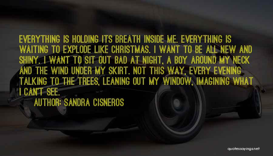 Bad Breath Quotes By Sandra Cisneros