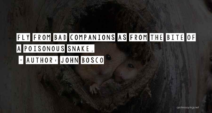 Bad Companion Quotes By John Bosco