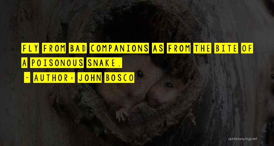 Bad Companions Quotes By John Bosco