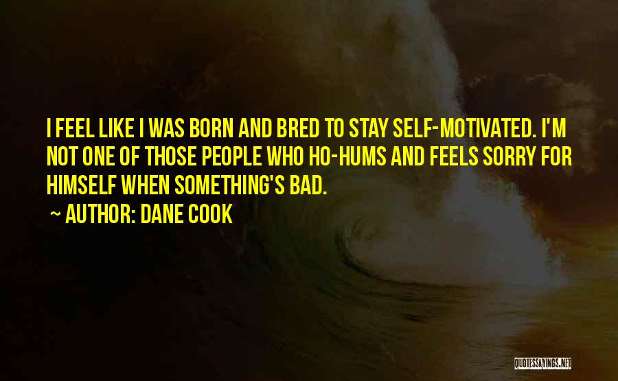 Bad Cook Quotes By Dane Cook