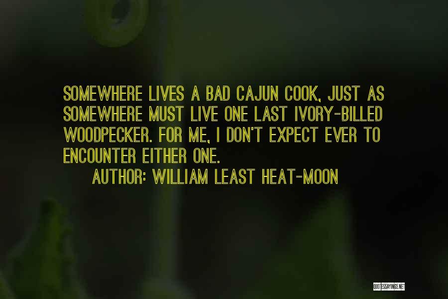 Bad Cook Quotes By William Least Heat-Moon