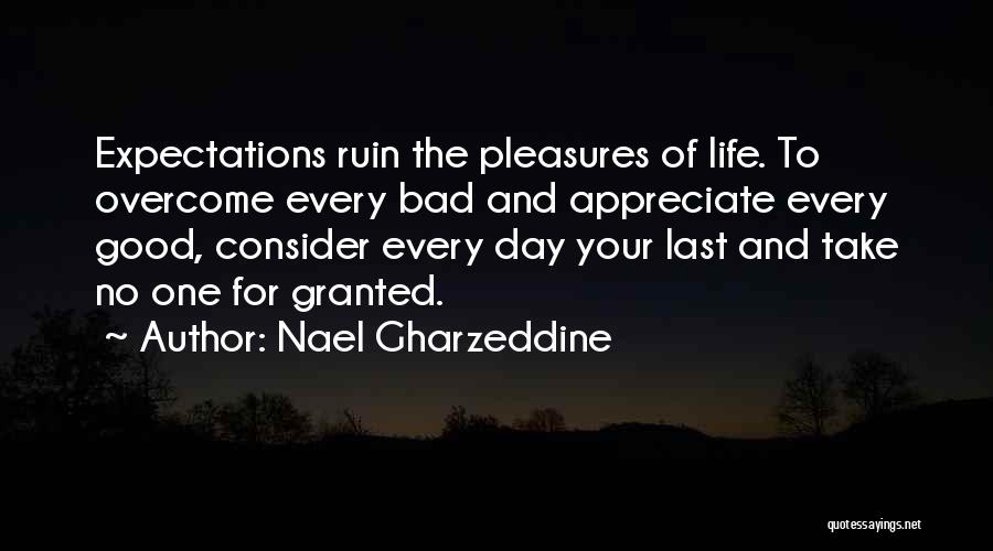 Bad Day Good Life Quotes By Nael Gharzeddine