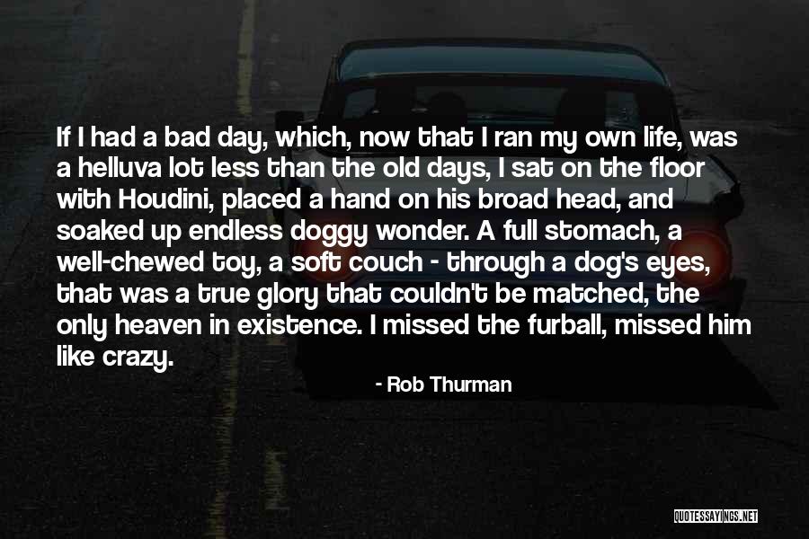 Bad Days Gone Quotes By Rob Thurman Bad Days Gone Quotes By Rob Thurman