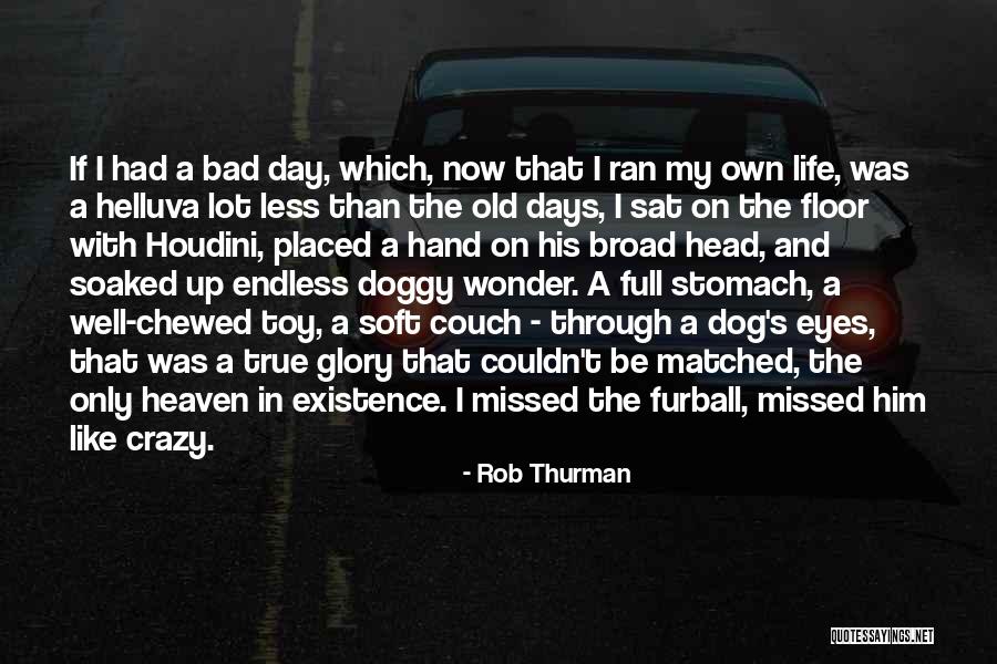 Bad Days Gone Quotes By Rob Thurman