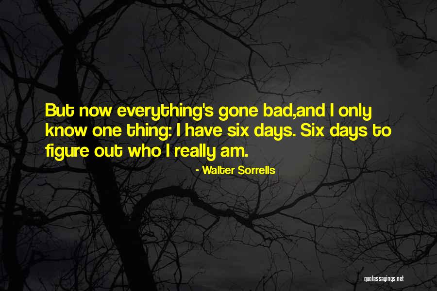 Bad Days Gone Quotes By Walter Sorrells