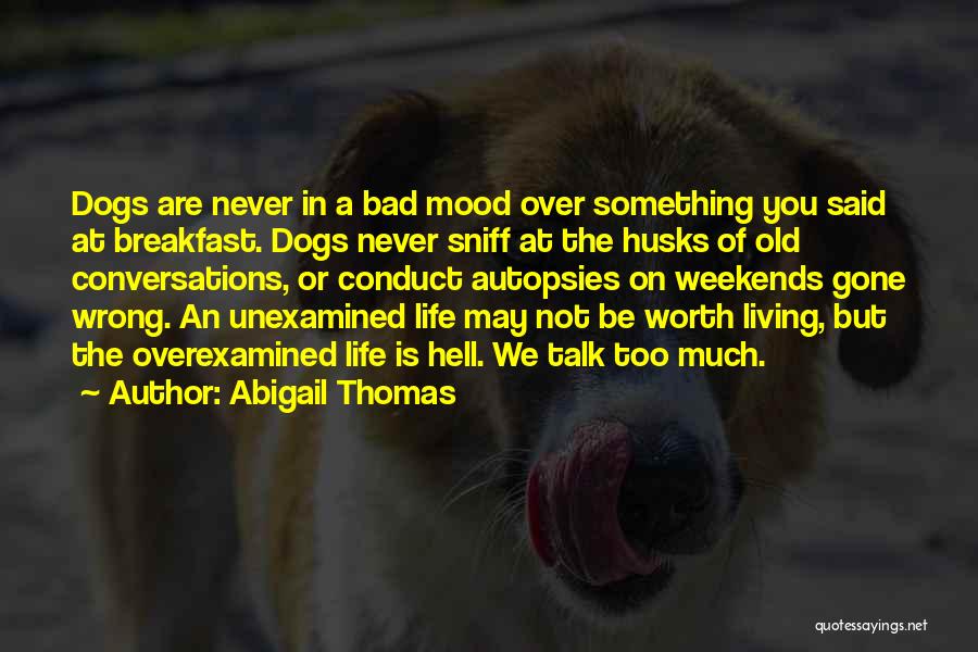 Bad Dogs Quotes By Abigail Thomas