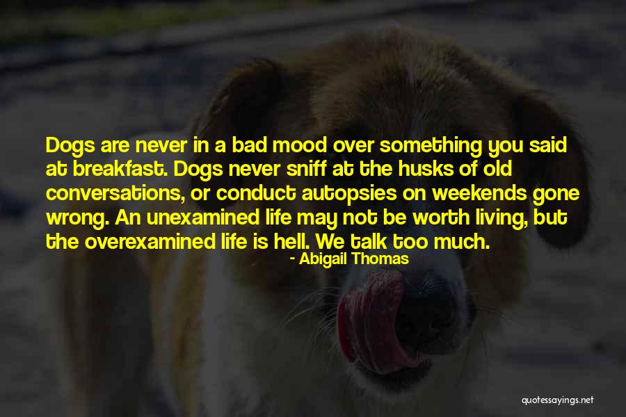 Bad Dogs Quotes By Abigail Thomas