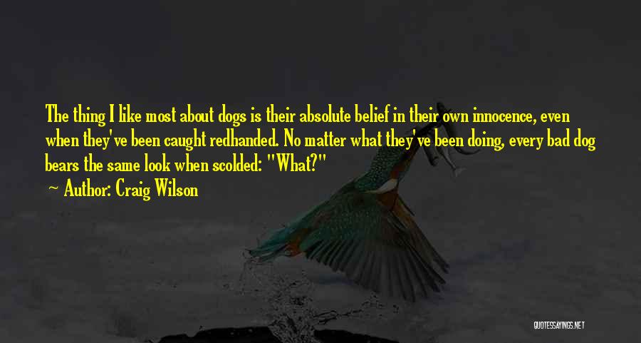 Bad Dogs Quotes By Craig Wilson