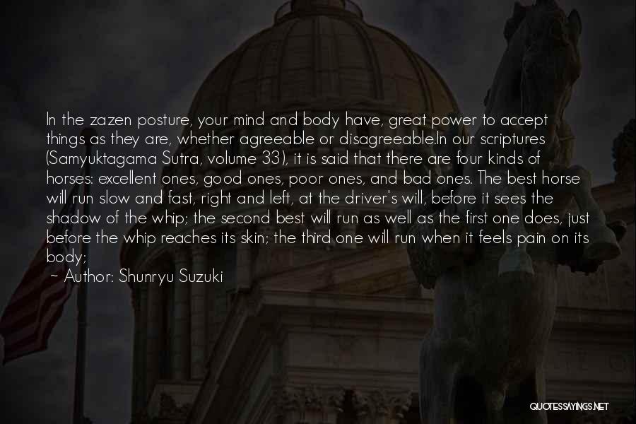 Bad Driver Quotes By Shunryu Suzuki